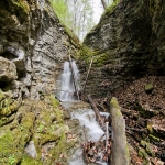mg_4865-2-kopie_wm